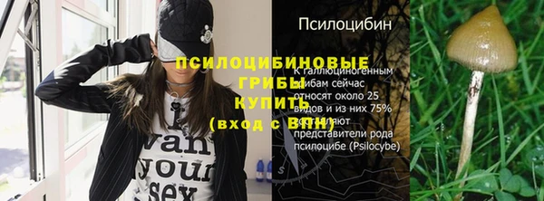 бошки Алзамай