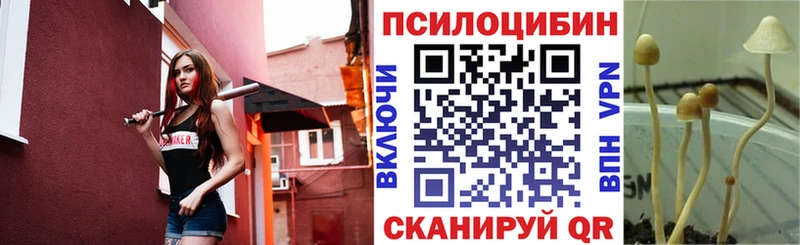 Галлюциногенные грибы мицелий Арск
